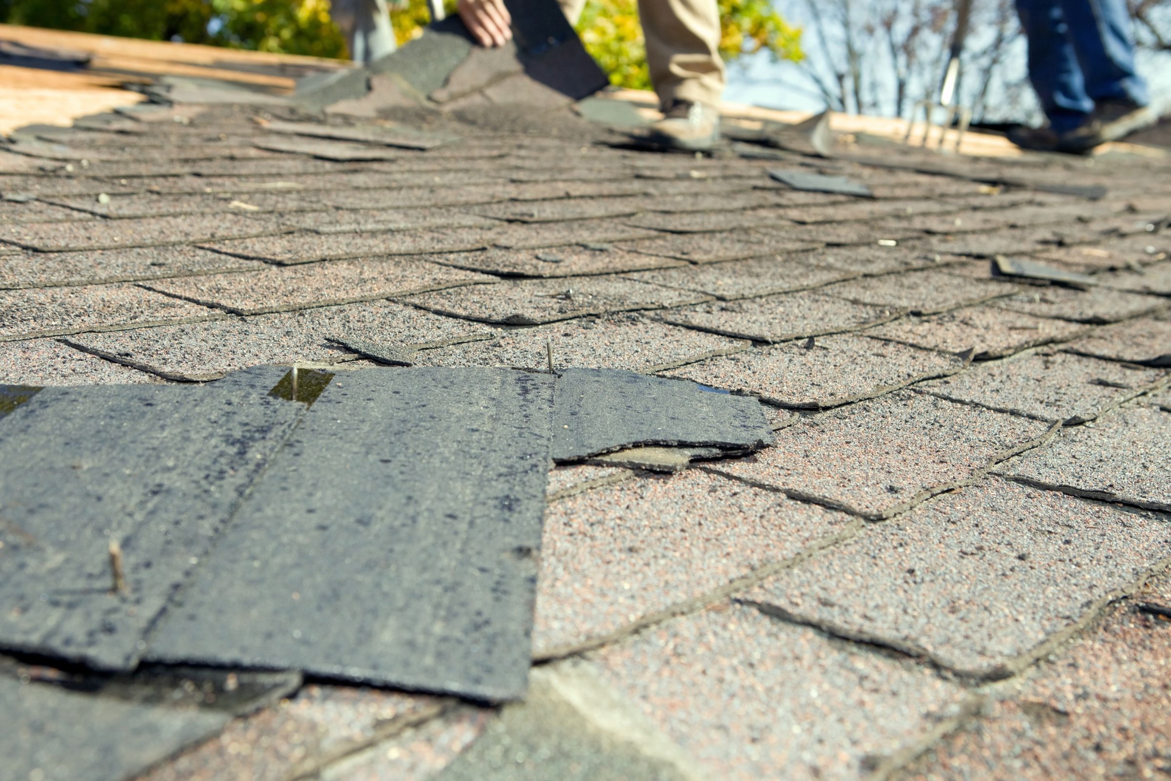 Roof Repair or Replacement? A South Jersey Homeowner’s Guide